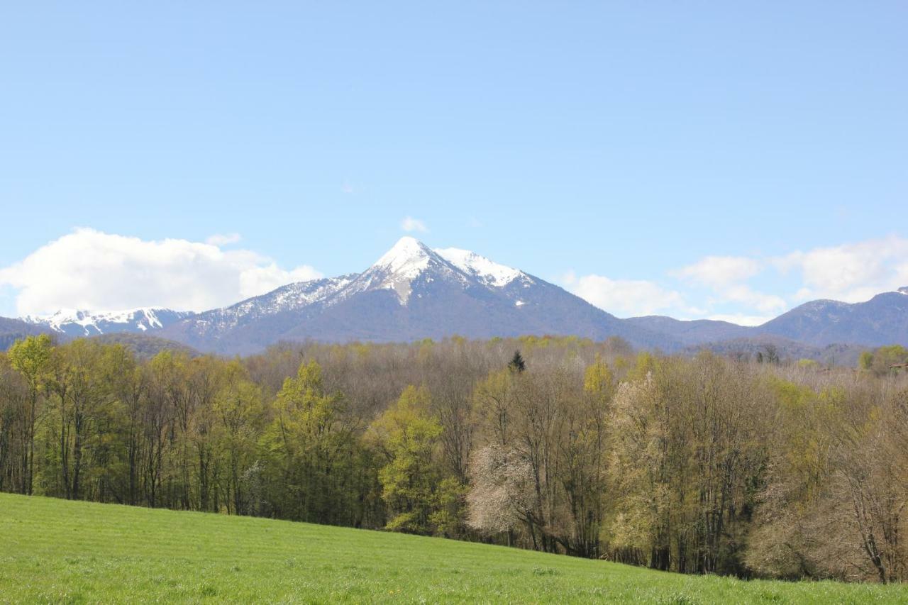 Maison Du Coue Pyrenees Mourtis Gite Pour 2 A 12 Pers Sengouagnet 외부 사진