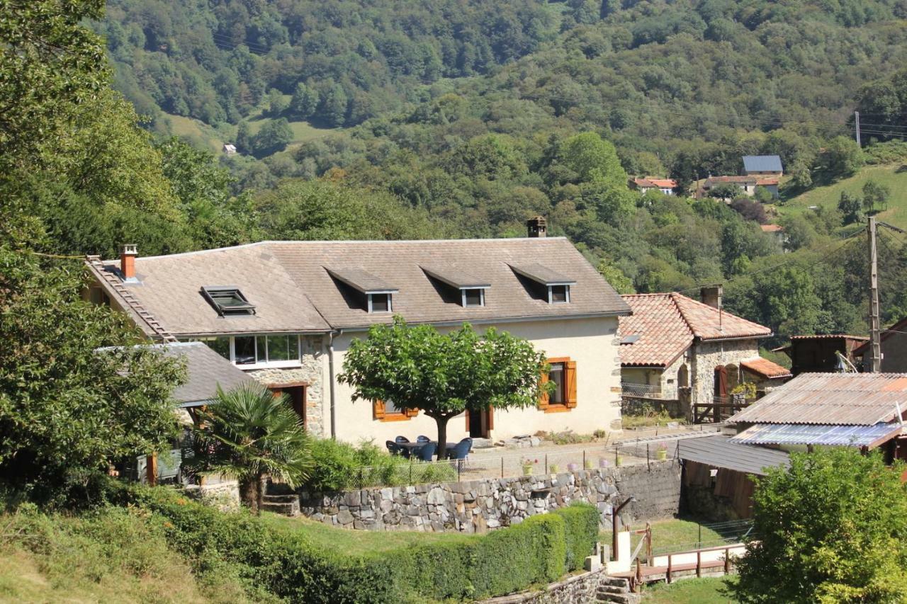 Maison Du Coue Pyrenees Mourtis Gite Pour 2 A 12 Pers Sengouagnet 외부 사진